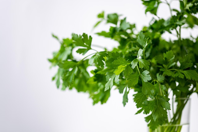 Kratom je vzácná bylina. 